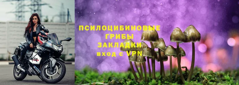 Псилоцибиновые грибы Magic Shrooms  blacksprut   Сергач 